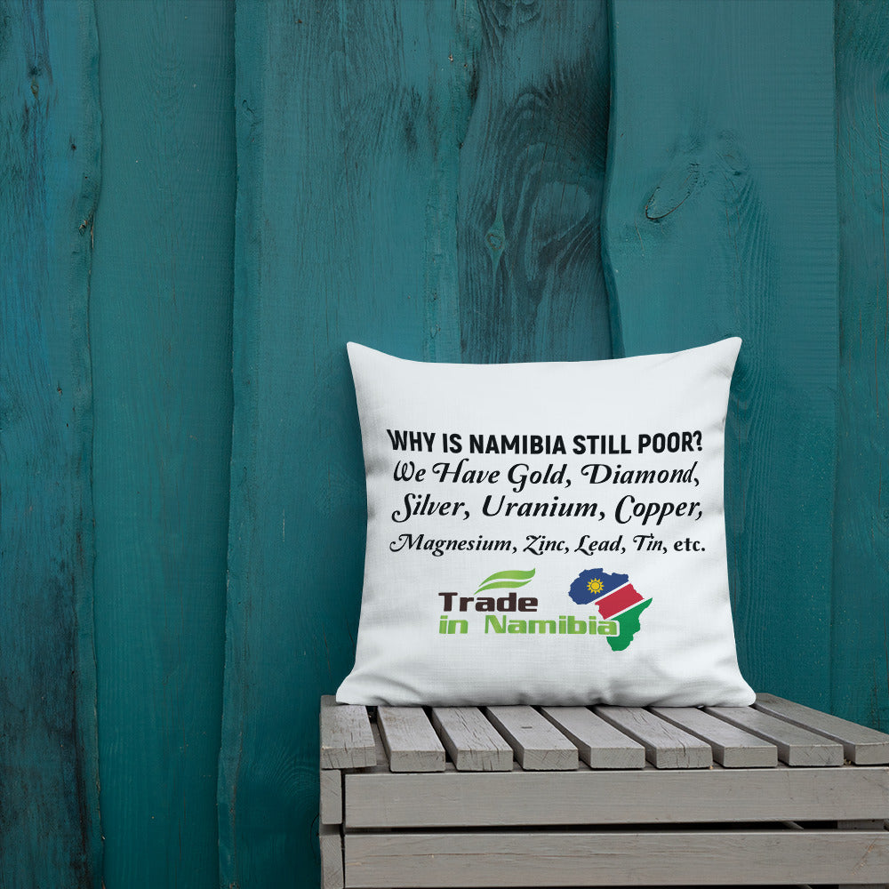 We Have It All - Trade In Namibia Premium Pillow