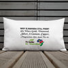 We Have It All - Trade In Namibia Premium Pillow